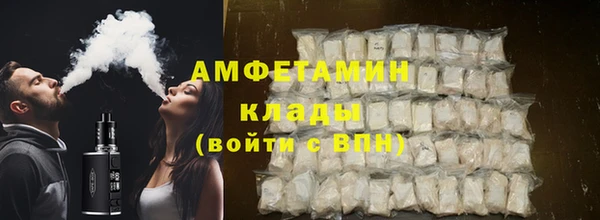 амф Пестово