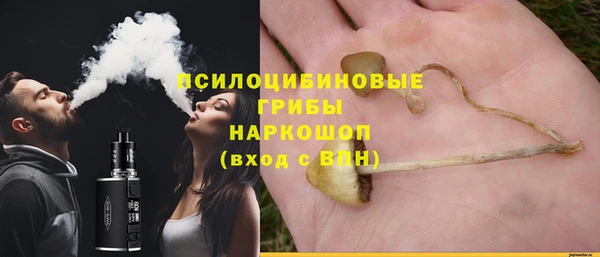 apvp Медвежьегорск