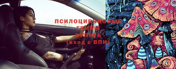 мдпв Майский