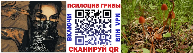 darknet Telegram  Межгорье  Галлюциногенные грибы прущие грибы 